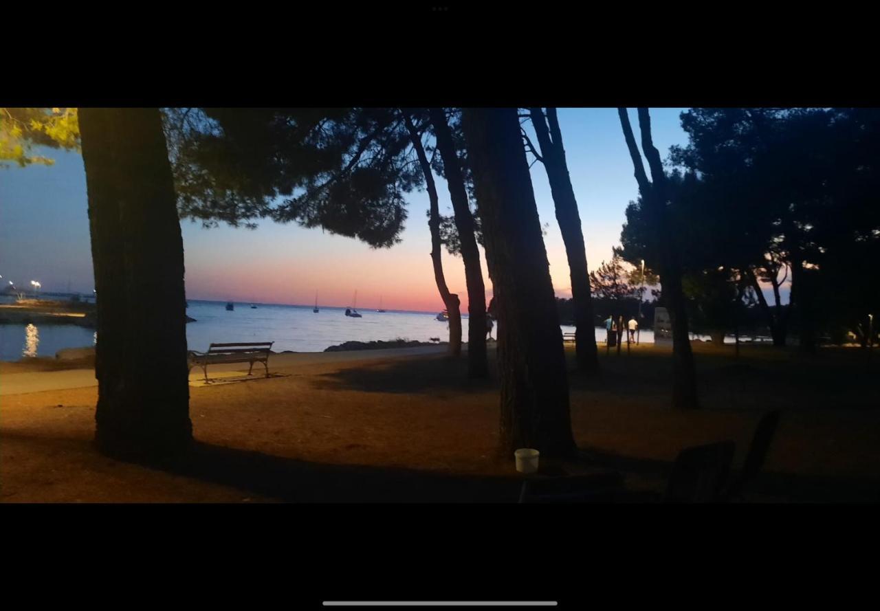 Apartman Sija Novigrad Novigrad Istria Εξωτερικό φωτογραφία